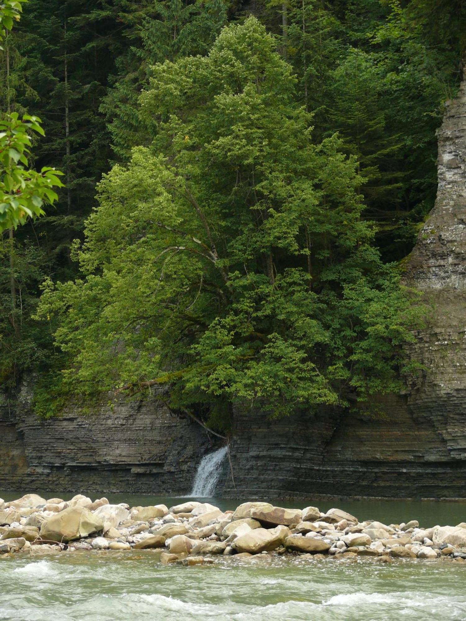 On Dovbush Path Otel Yaremche Dış mekan fotoğraf
